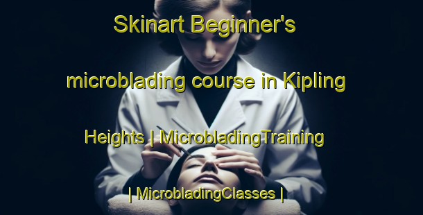 Skinart Beginner's microblading course in Kipling Heights | MicrobladingTraining | MicrobladingClasses | SkinartTraining-Canada